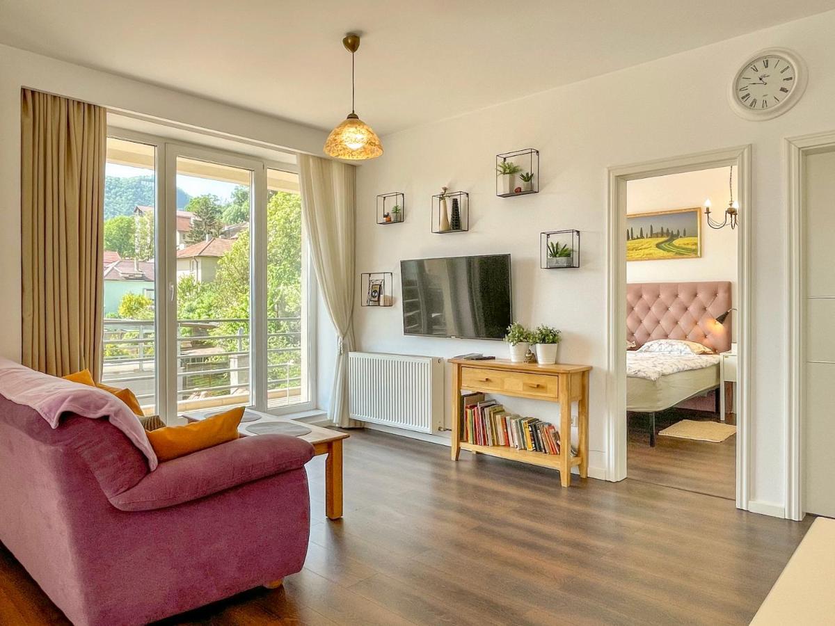Central Premium Apartment Brasov Ngoại thất bức ảnh